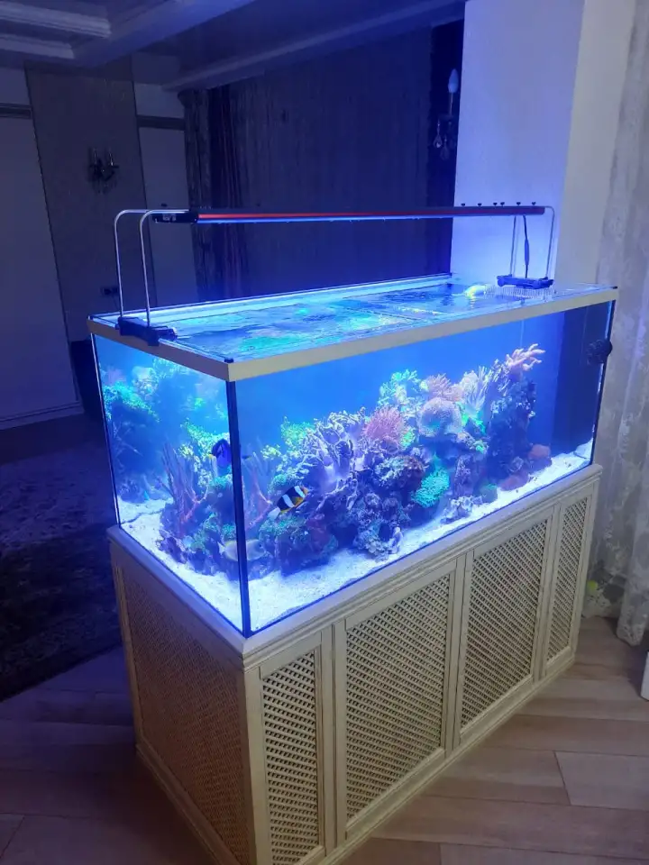 Чистка и обслуживание пресноводных и морских  аквариумов, фотография 5