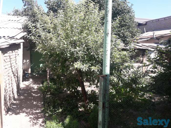 Продаю дом, миробадский район ул кичик бешогоч 2пр д 21, фотография 6