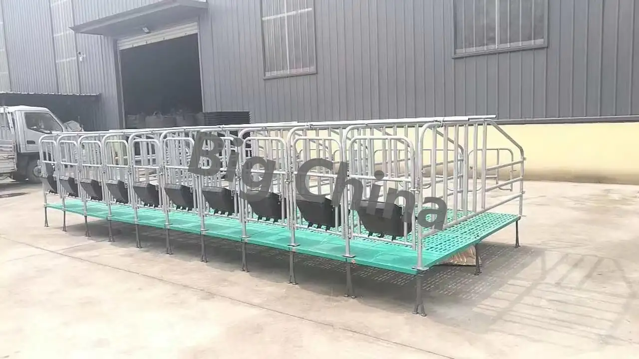 Оборудование Big Ducthman для свинокомплекса по выращиванию свиней из Китайского производителя., фотография 1