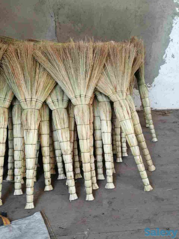 Веник сорго, фотография 7