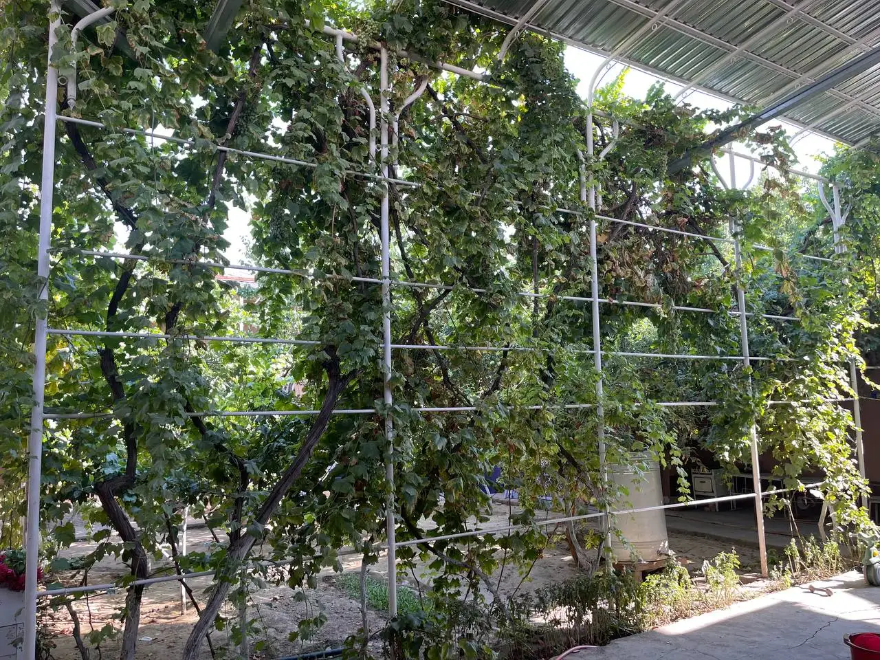 Продаётся дом 6 соток Наманган Нуробод Бадавлат кучаси 5 уй, фотография 4