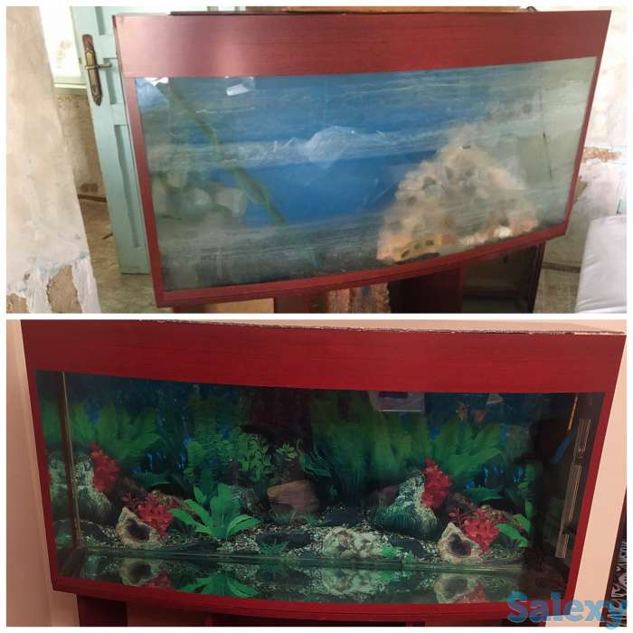 чистка аквариум по доступным ценам, фотография 2