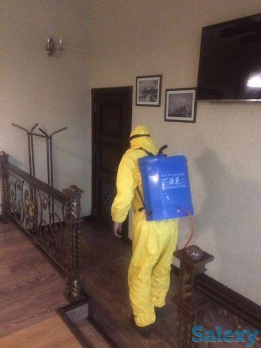 Дезинфекция от насекомых, фотография 2