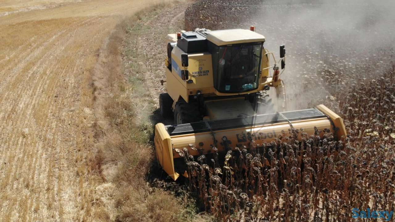 Жатка для уборки подсолнечника Elibol Freesun 550 на комбайн, фотография 7