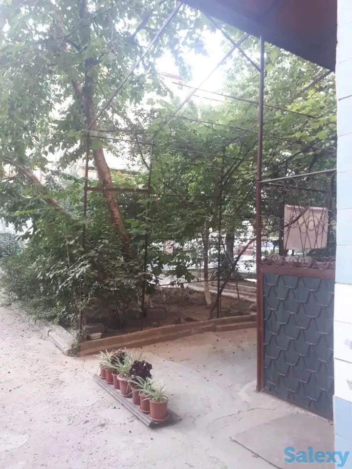 3х Комнатная Своя, 78м2, 1й этаж, серия 77, кирпич, фотография 4