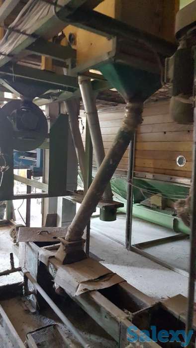 продаю мукамолку, фотография 3