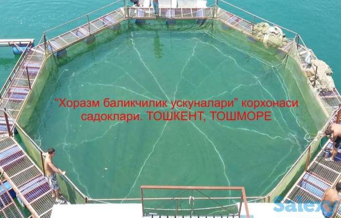 Балик чилик учун садок,кафас,бредень,сетка,baliq,sadoq,tor,setka., фотография 1