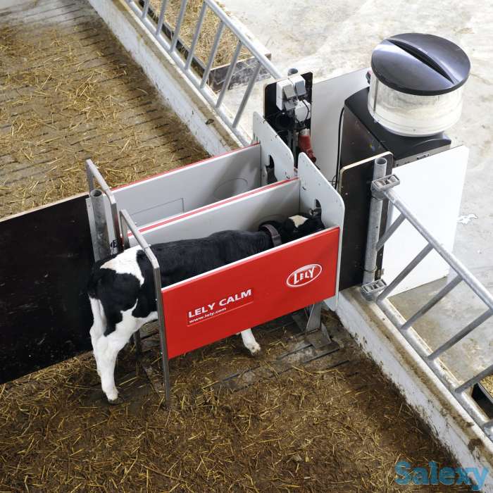 Автоматизированная система выпойки телят Lely Calm, фотография 6