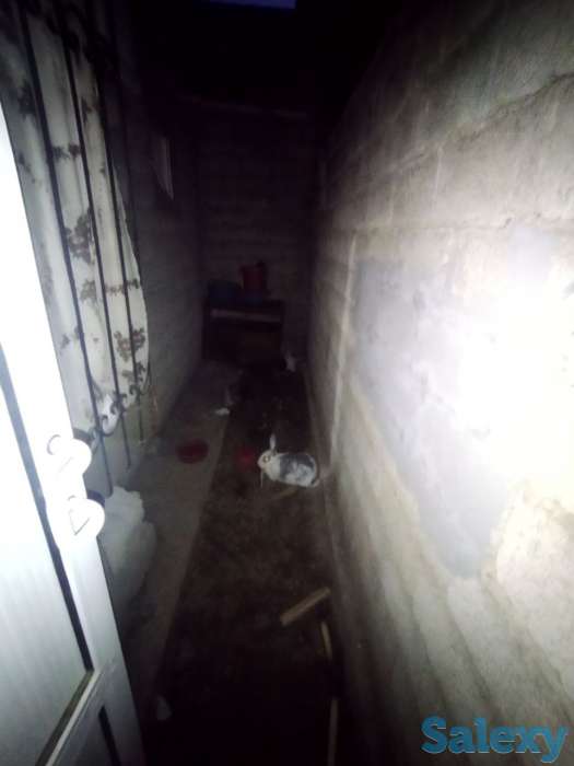 Zudlik bilan sotiladi kvartira Karasuv 6 bir honali, фотография 2