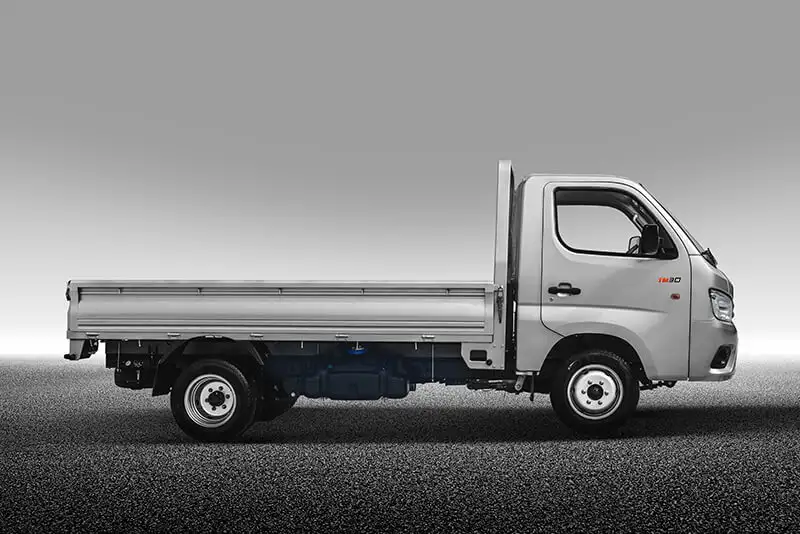 FATON  Gratour TM300 2 SEATS    2 местный, фотография 7