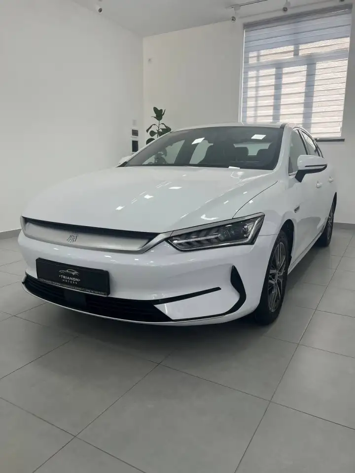 Qin plus TRIANON motors da, фотография 1