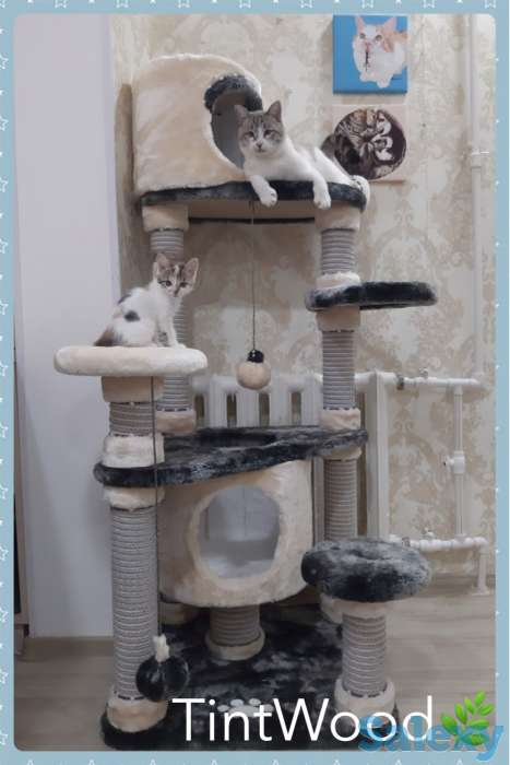 Когтеточка для кошки. Игровой комплекс для кошки. Дом для кошки., фотография 12