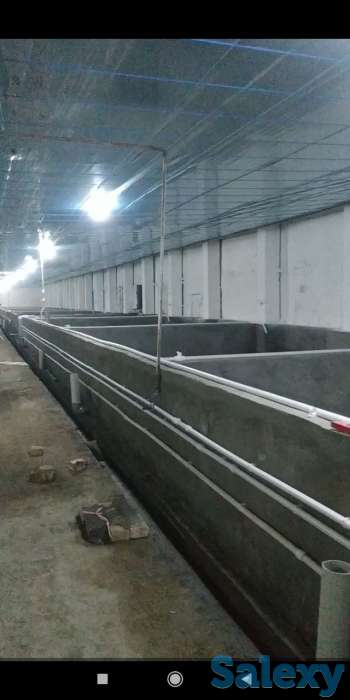 Продаётся рыбное хозяйство, готовый бизнес., фотография 6