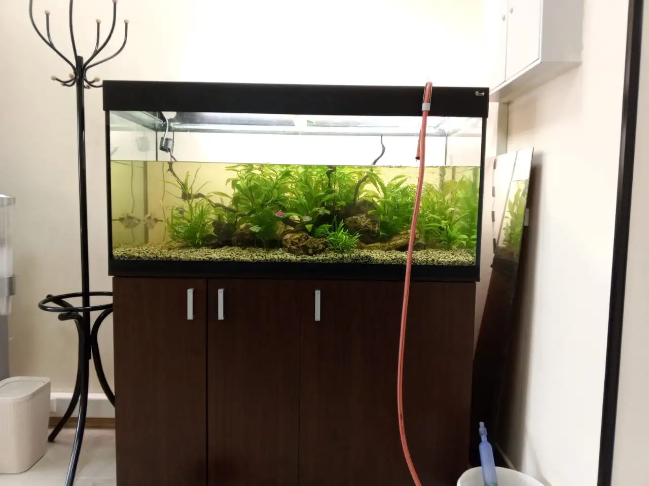 Чистка и обслуживание пресноводных и морских  аквариумов, фотография 3