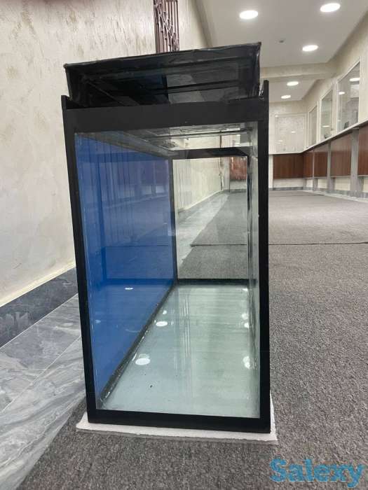 Akvarium, фотография 2