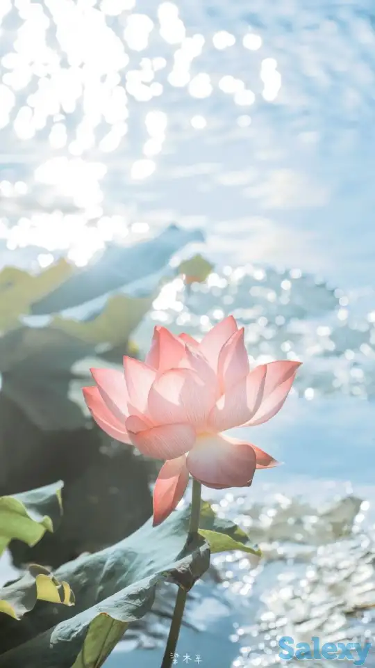 Массаж профиссиональный, фотография 1