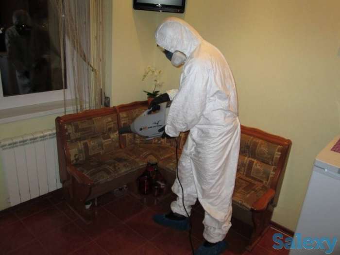 Дезинфекция от клопов и насекомых! Гарантия и Скидки!, фотография 4