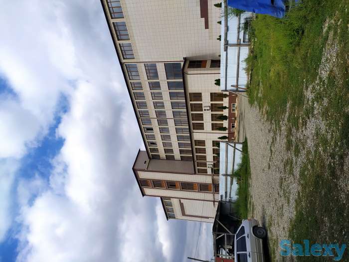 Увеличение выхода и улучшение качества муки, фотография 1