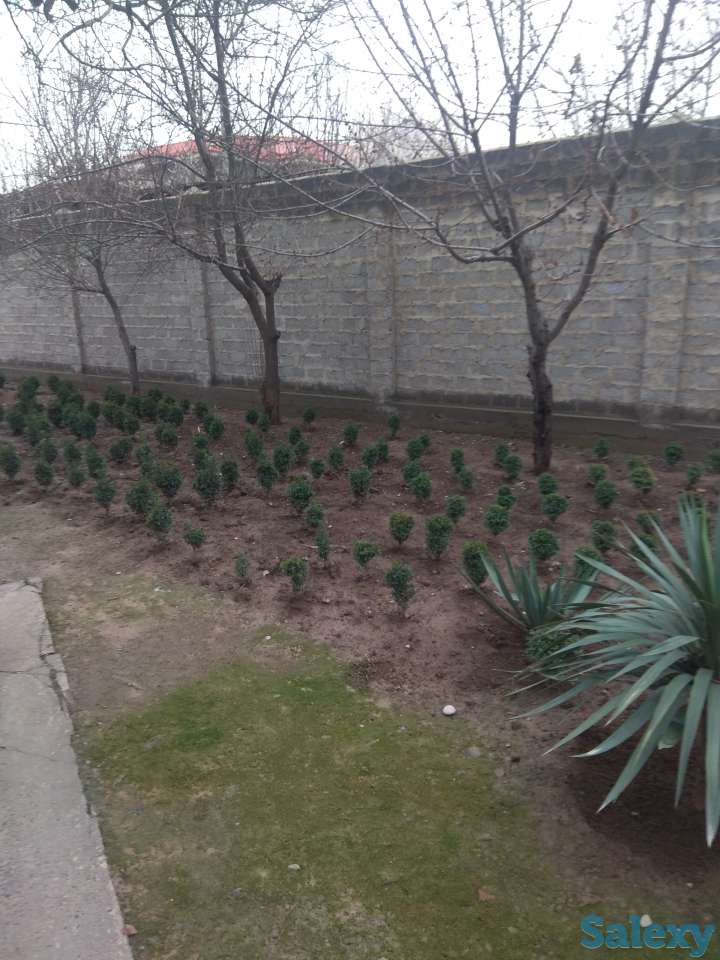 Sro4no prodaetsya dom 6.8 sotok, Tashkent Uzbekistan Maishiy Xizmat, фотография 6