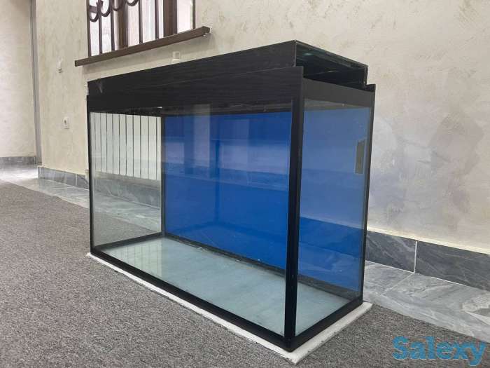 Akvarium, фотография 6