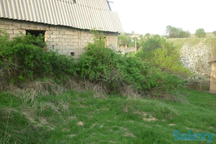 продам дачу в дачном массиве в паркентском районе, Паркентский район, фотография 2