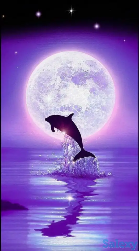 Изобразительное искусство, фотография 3