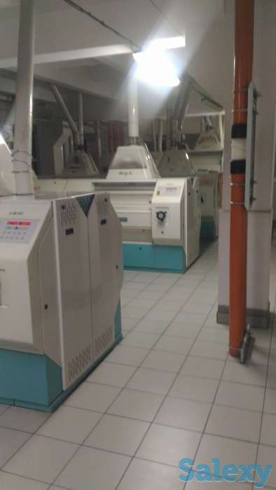 Увеличение выхода и улучшение качества муки, фотография 2