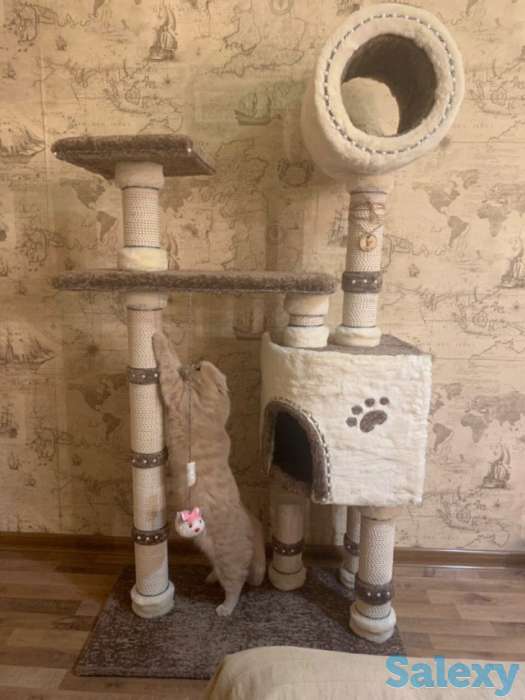 Когтеточка для кошки. Игровой комплекс для кошки. Дом для кошки., фотография 1