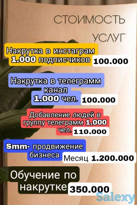 Раскрутка и продвижение бизнеса в социальных сетях, фотография 1