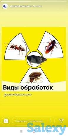 Дезинфекция от насекомых и грызунов, фотография 1