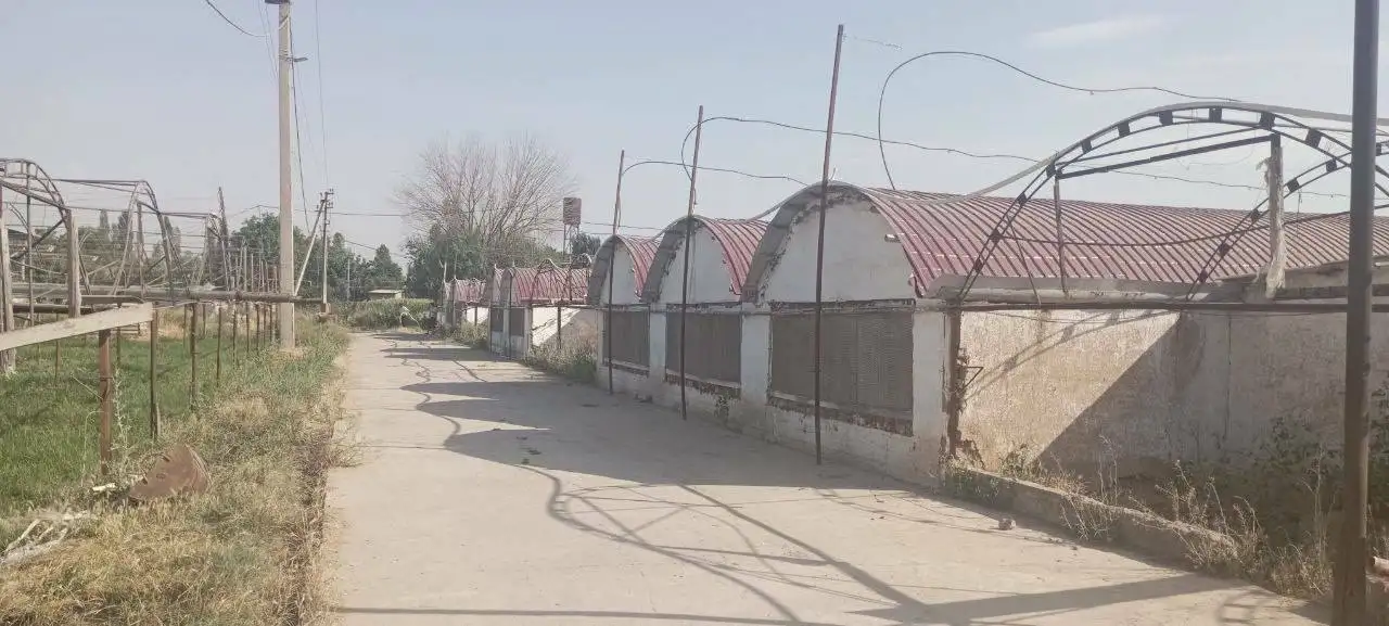 10 га Новый Ташкент, фотография 6