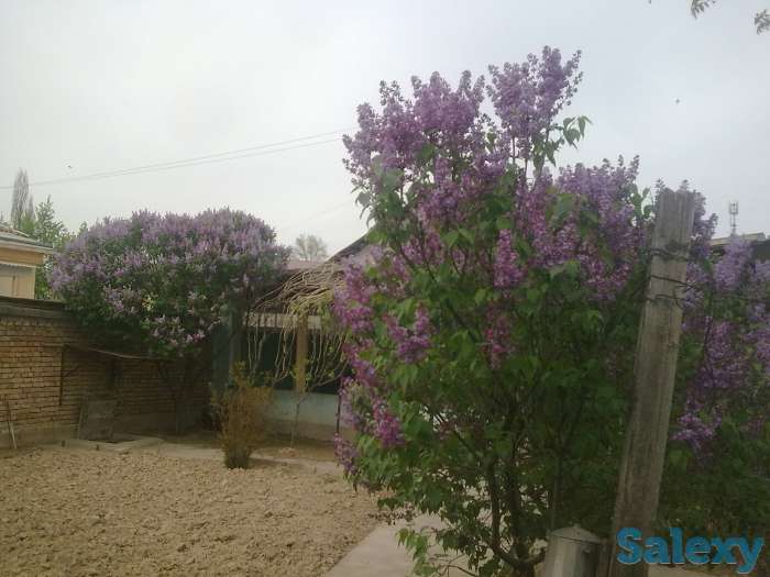 Продается дом., Ташкентская Самаркандская 1