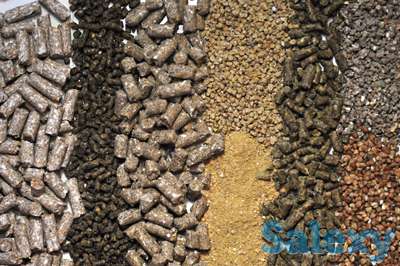 Поставщик кормовых добавок для животных КРС и птиц в Иран, фотография 1