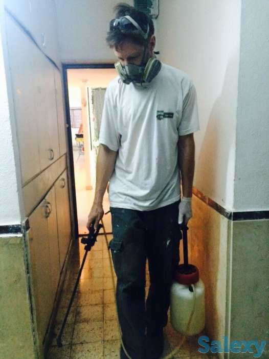 Дезинфекция со скидками.20%, фотография 1