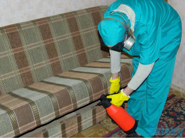 Дезинфекция со скидками.20%, фотография 3