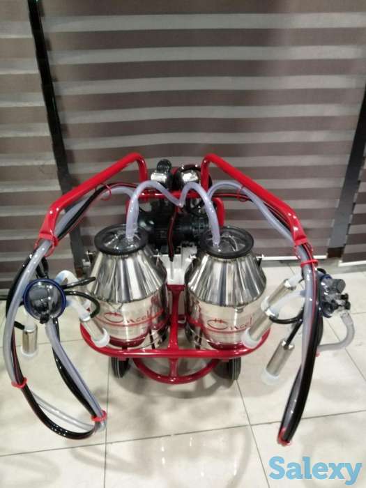 Доильный Аппарат для коров из Турции, фотография 3