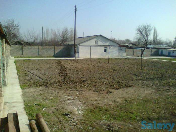 Продам участок 17 соток ,ТАш.обл Зангиота, Зангиотинский район поселок Богзор, фотография 4