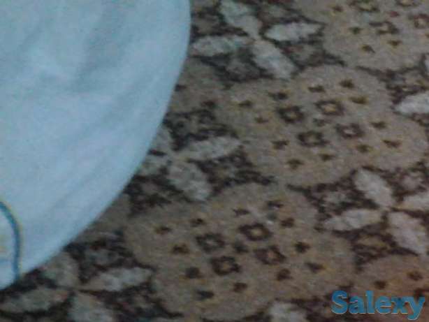 Отдам в хорошие руки кота, фотография 1