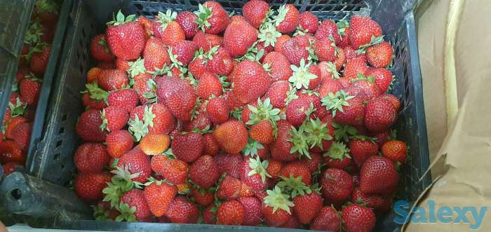 Замороженные овощи и фрукты, фотография 1