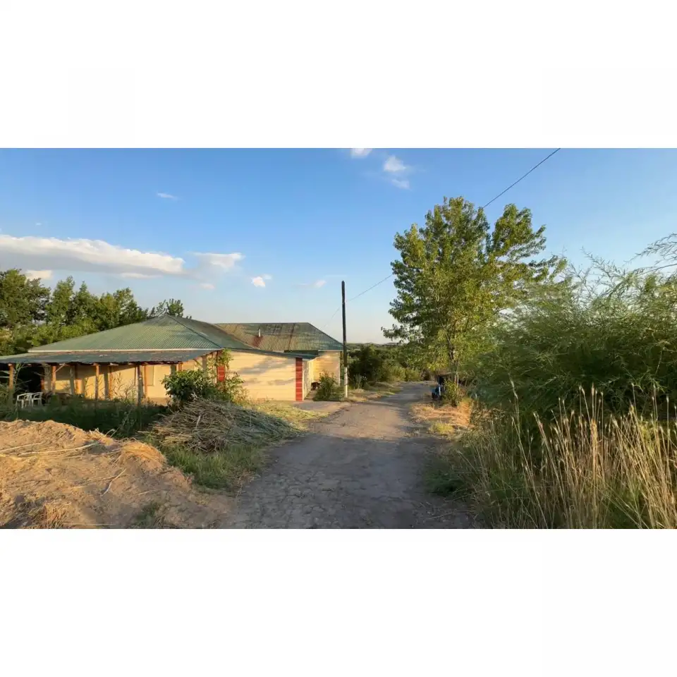 Бывший пионерский лагерь, Краснагорск, фотография 1