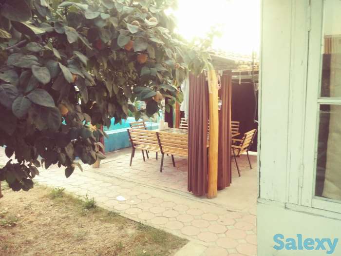 продаю дачу у Ташморя, Ташморе, Бургулюк, махалля Номданак, дачный поселок, фотография 4